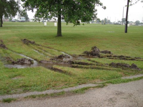 traces in the mud