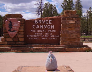 Chicken at the entrance of Bryce Canyon