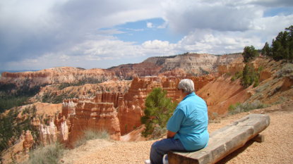 Bear,  fascinated by the scenery