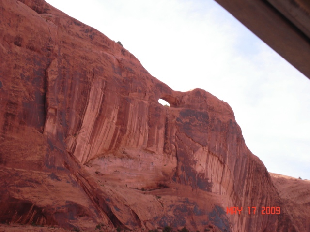 Poison spider arch