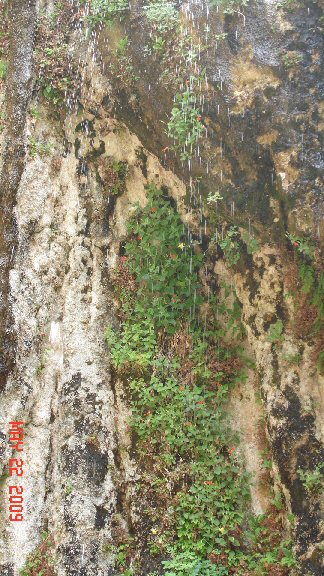 Permanent rain fall from a weeping rock