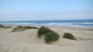 Pristine deserted beach