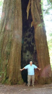 This still thriving giant tree bears a giant scar carved by a fire.