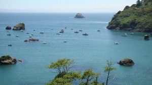 View of the Pacific ocea from Trinidad