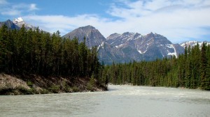 Milky waters of the Athabasca river