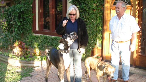 Jamie with her dogs